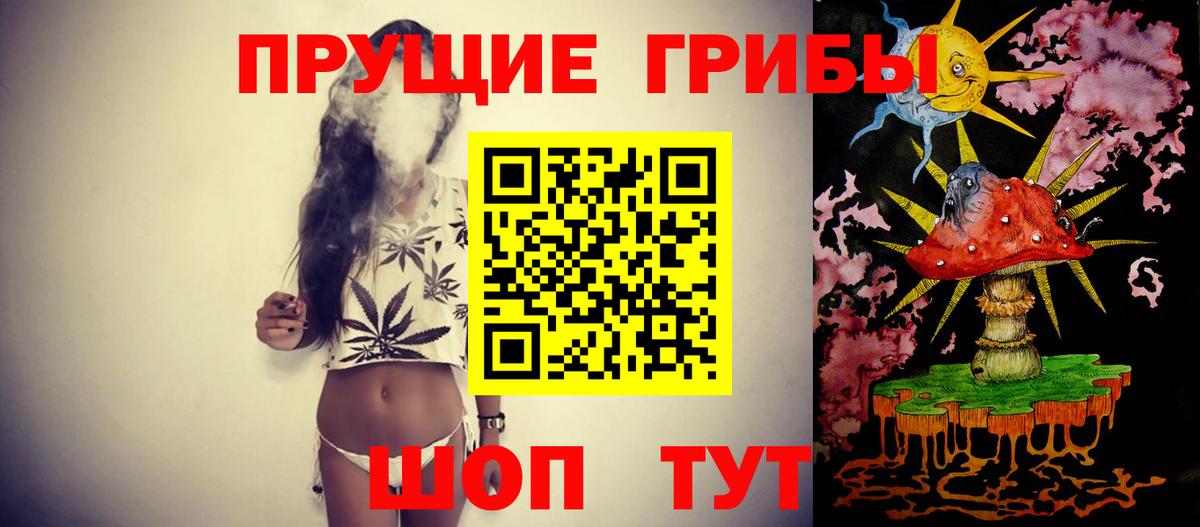 Псилоцибиновые грибы Psilocybine cubensis  Вход с VPN  Чусовой 